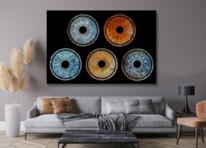 eye-gallery